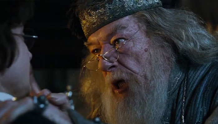 New Harry Potter TV show reveals Dumbledore casting