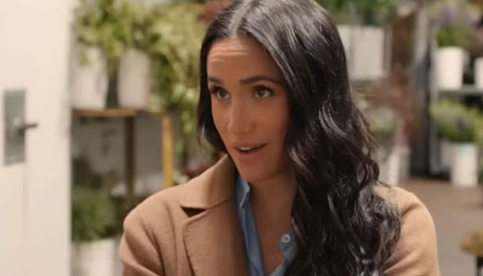 Meghan Markle issued a strong worded warning about her dreams