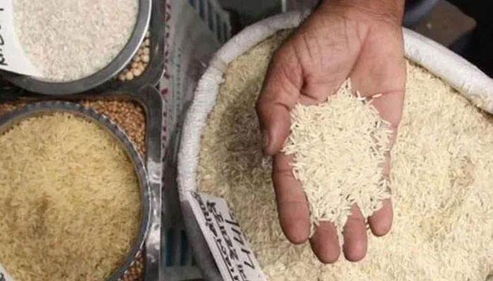 A representational image of a person showing rice. — AFP/File