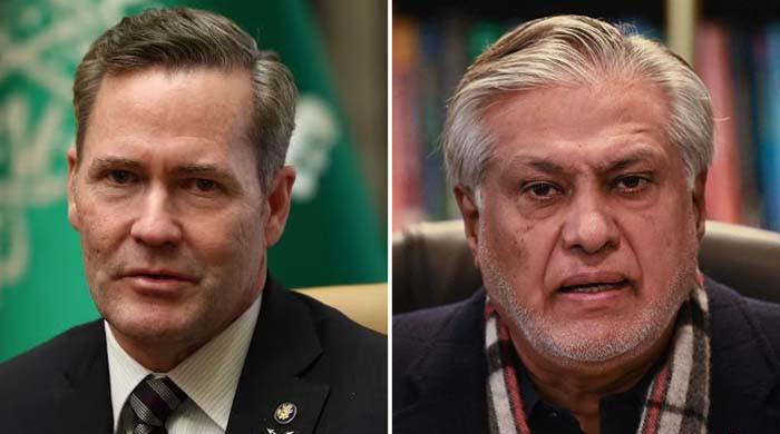 'Pakistan seeking broad-based ties with US under Trump', Dar tells Waltz