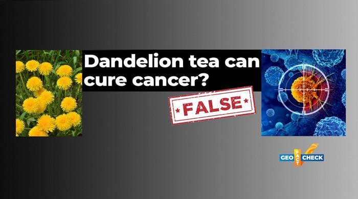 Fact-check: Dandelion root tea does not kill cancer cells in 48 hours