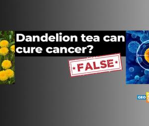 Fact-check: Dandelion root tea does not kill cancer cells in 48 hours