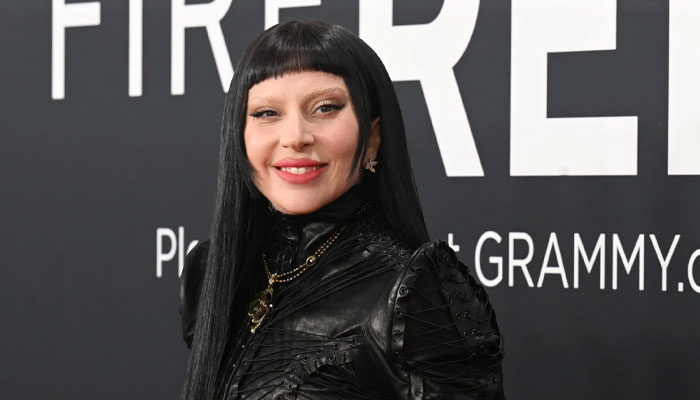 Lady Gaga reveals career move that would bring her so much joy