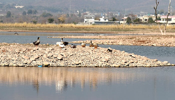 A view of the dry surface of Rawal Dam due to shortage of rain in twin cities, on February 17, 2025. — INP