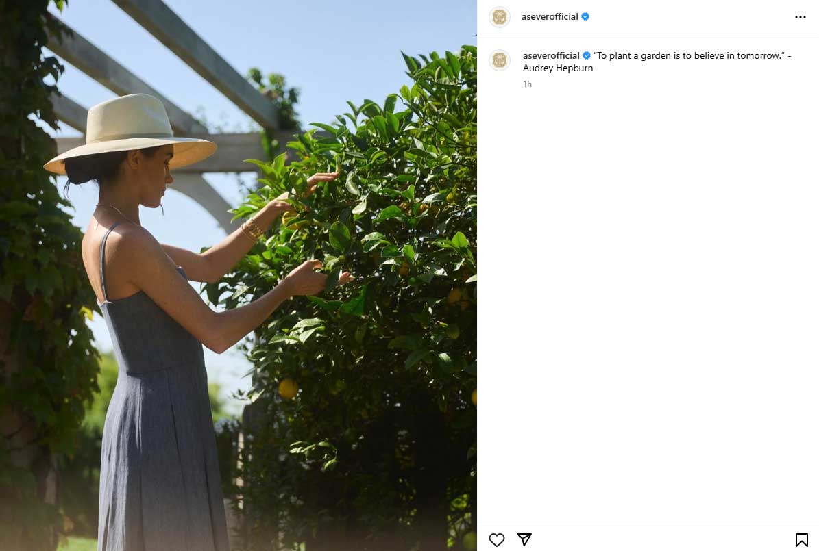 Meghan Markle employs news approach as her brand nears milestone