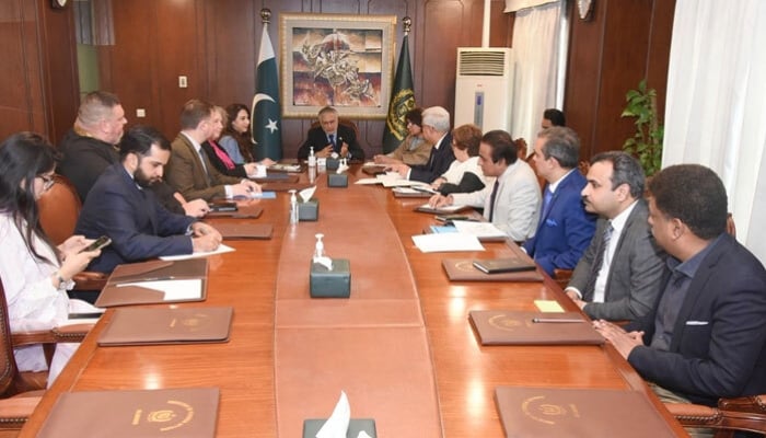 Deputy Prime Minister and Foreign Minister Senator Ishaq Dar (centre) chairs a meeting with the Foreign Office officials and a US delegation headed by a US delegation in Islamabad, on March 19, 2025. — Facebook@foreignofficepk
