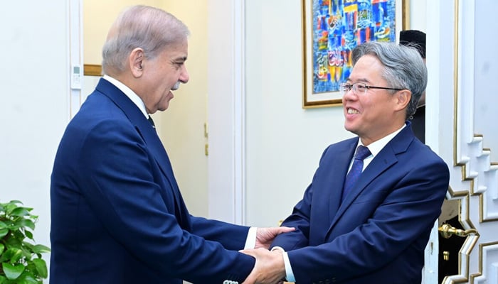 Chinese Ambassador to Pakistan Jiang Zaidong shakes hands with Prime Minister Shehbaz Sharif in Islamabad on March 7, 2025. — Prime Minsters Office (PMO)