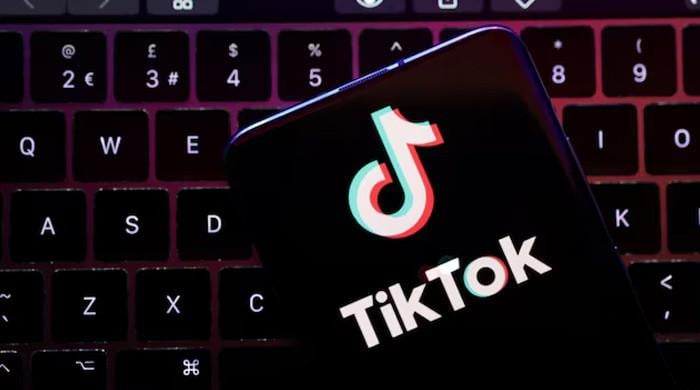 Senators urge Trump to back Congressional plan for TikTok sale extension