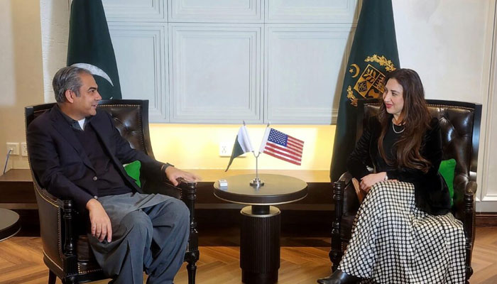Interior Mohsin Naqvi meets US Acting Ambassador Natalie Baker in Islamabad on February 15, 2025. — APP/File
