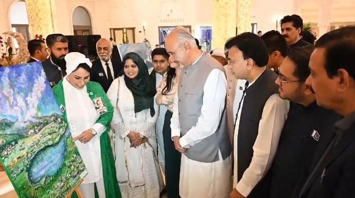 Unique art exhibition showcases Pakistan's colours in UAE