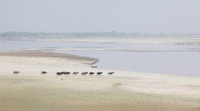 Troubled waters and barren lands