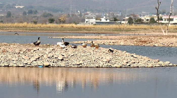 Country to face 43% water shortfall next month, warns Irsa