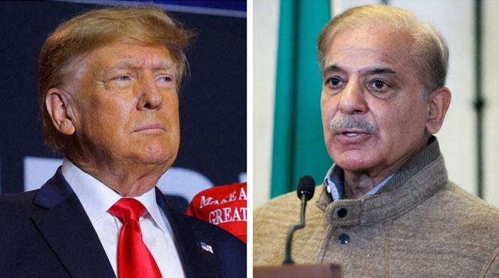 PM Shehbaz constitutes 12-member committee for 'policy response' to Trump's reciprocal tariffs