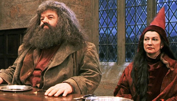 Major twist in Harry Potter TV series casting?