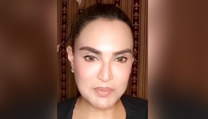 Actor and model Nadia Hussain.  — Instagram/nadiahussain_khan/screengrab