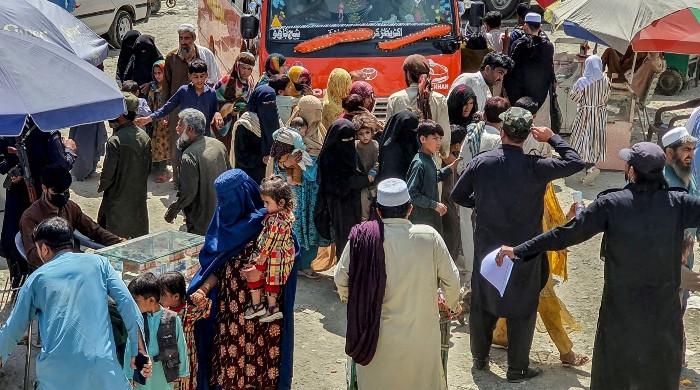 KP not pursuing strict action against Afghan families KP not pursuing strict action against Afghan families