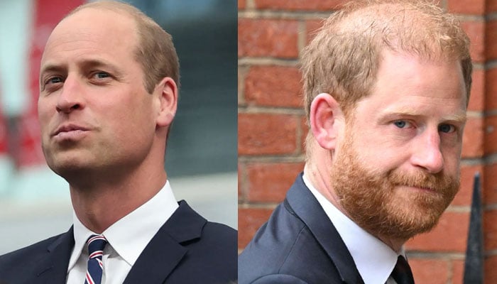 Prince William is in a long game with Prince Harry: Titles, UK future and family