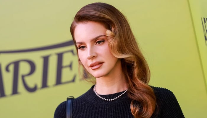 Lana Del Rey announces album delay post song release