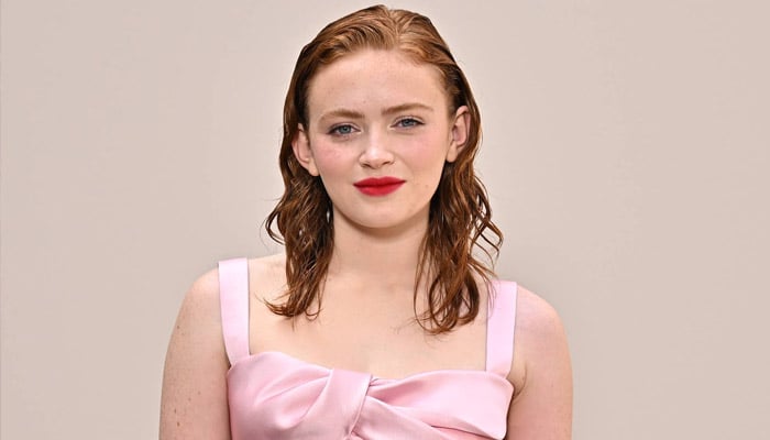 Sadie Sink Stranger Things co stars surprises her