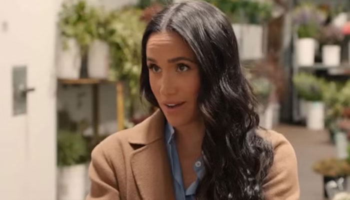 Meghan Markle exposed by seasoned paparazzi: ‘She tried for control