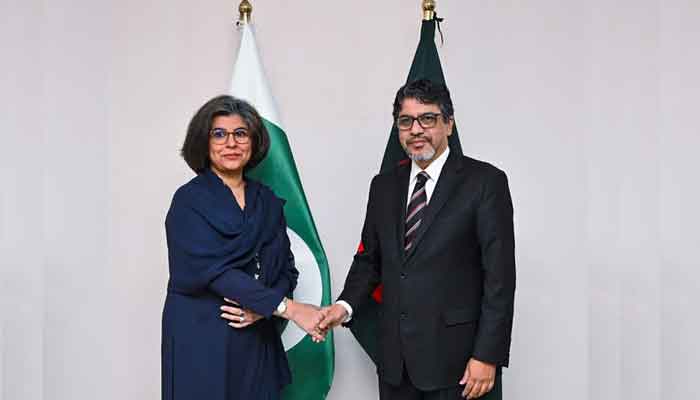 Pakistan Foreign Secretary Amna Baloch meets Bangladesh Foreign Secretary Jashim Uddin. — Bangladesh Foreign Ministry