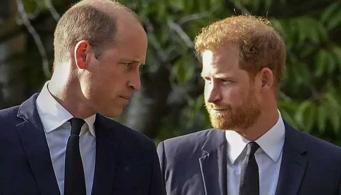 Prince William pours cold water on hopes of reconciliation with Prince Harry