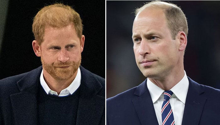 Prince Harry handed a harsh warning amid Prince Williams wait for Kingship