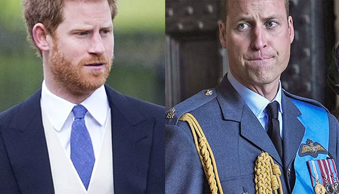 Expert reveals ‘new insights into Prince Williams rift with Prince Harry