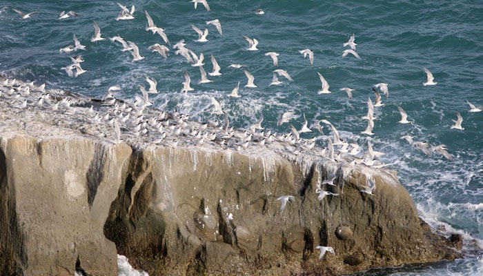 A view of Astola Island. — Pakistan Environmental Protection Agency website/File