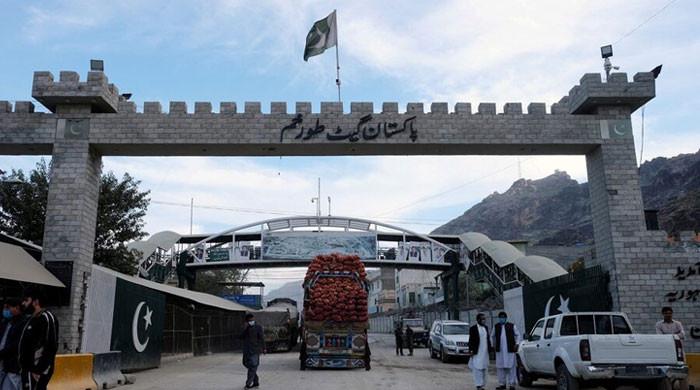 Anti-smuggling crackdown leads to 84% reduction in Afghan transit trade