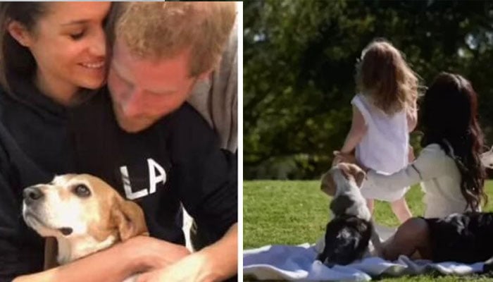 Meghan Markle spills the beans on Princess Lilibets childhood and daily routine