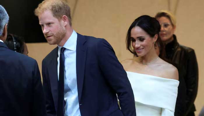 Prince Harry and Meghans website oversight raises questions