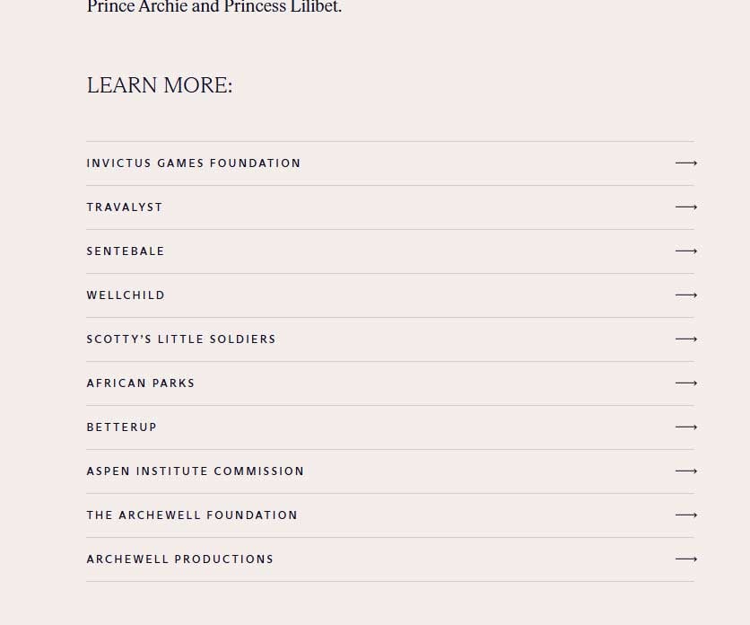 Prince Harry and Meghans website oversight raises questions