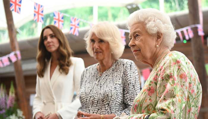 Royal familys blurred Kate Middleton photo sparks curiosity