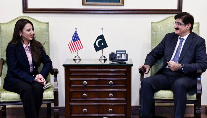 Sindh Chief Minister Murad Ali Shah meets with US Charge d Affaires Natalie Baker at CM House, Karachi, April 25, 2025. — Facebook/@SindhCMHouse