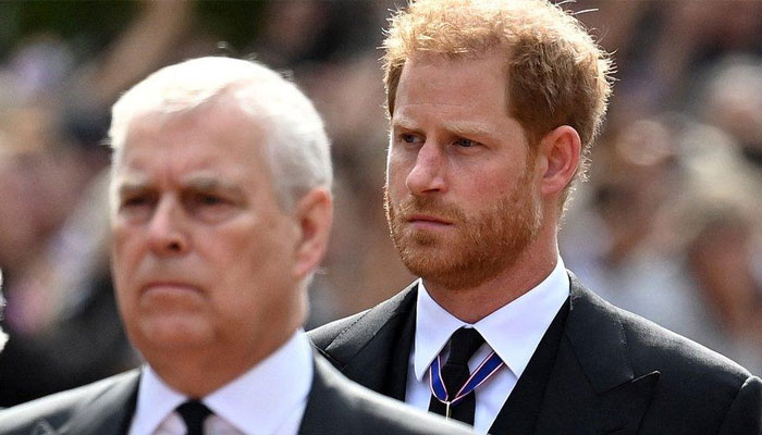 Prince Harry feared fading into shadows of Royal life before Megxit