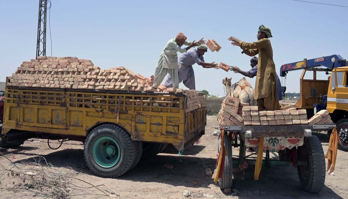 Labourers are loading bricks on a camel cart in Hyderabad on April 1, 2024. — APP