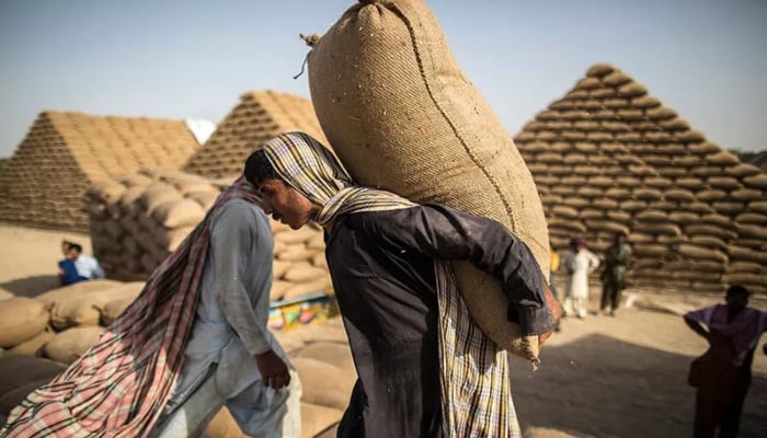 A labourer carries a bag of raw material. — Reuters/File