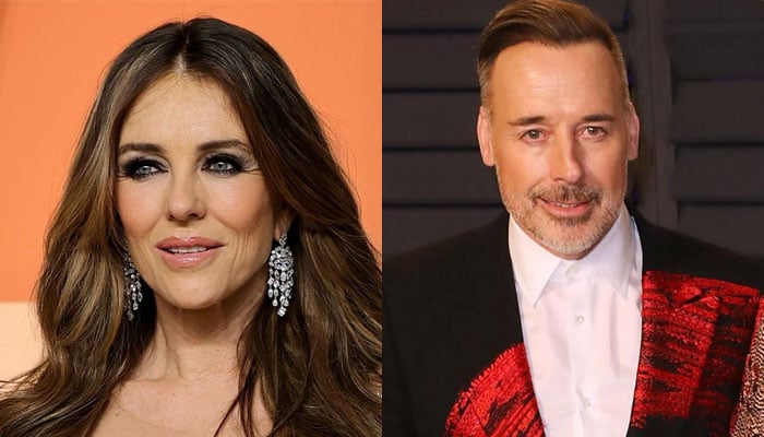 Elizabeth Hurleys pal David Furnish reacts to her relationship with Billy Ray Cyrus