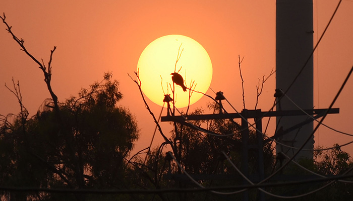 April among driest, hottest months in Pakistan in over 65 years: PMD 1 A stunning view of the sun set in Lahore captured on May 2, 2025. — Online
