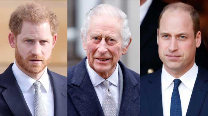 Prince Harry's hope for reconciliation hinges on Prince William's approval