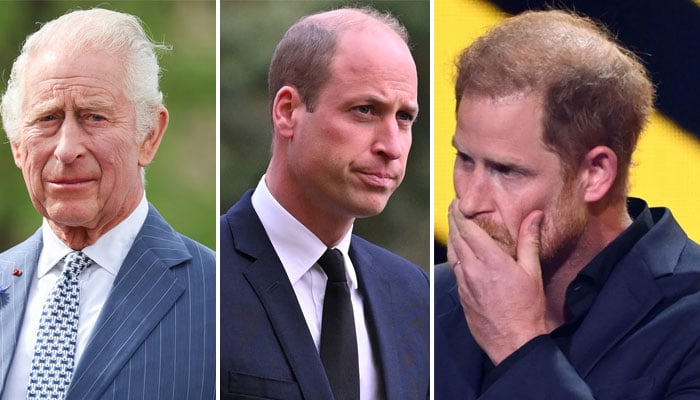 Prince Harry, Meghan Markle’s future without titles: Who & why