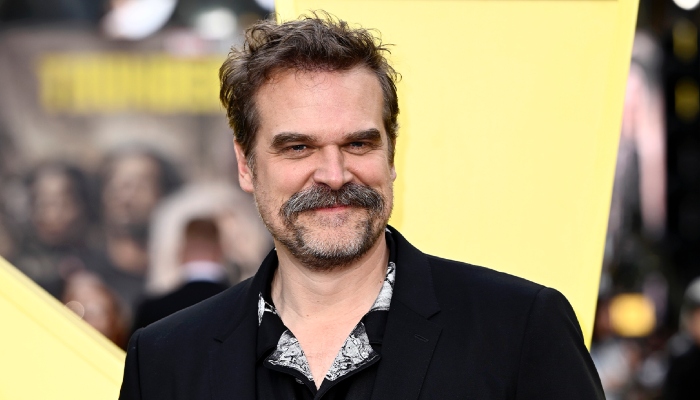 Photo: David Harbour going through midlife crisis post Lily Allen divorce: Source