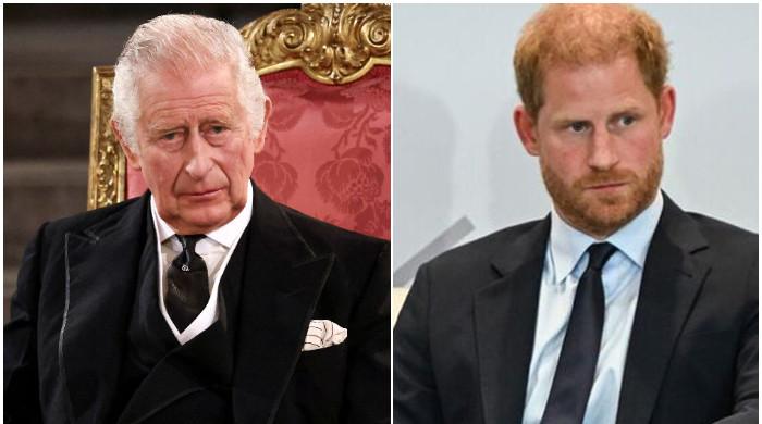 Prince Harry Interview