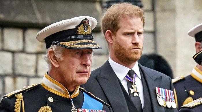 King Charles and Prince Harry