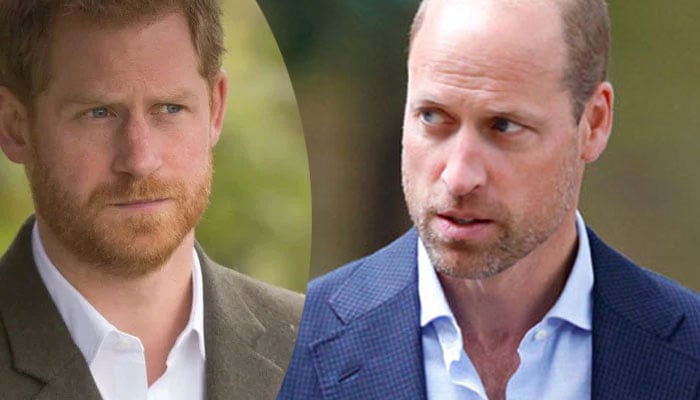Prince Harrys been launched further than ever from Prince William?