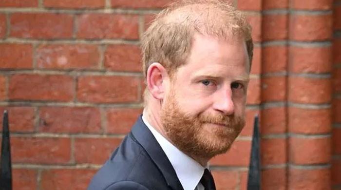 Prince Harry's public appearance