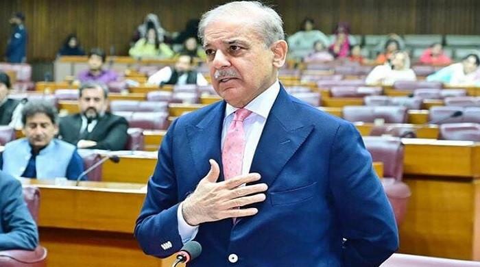 Crushing blow made India realise Pakistan's strength, readiness: PM