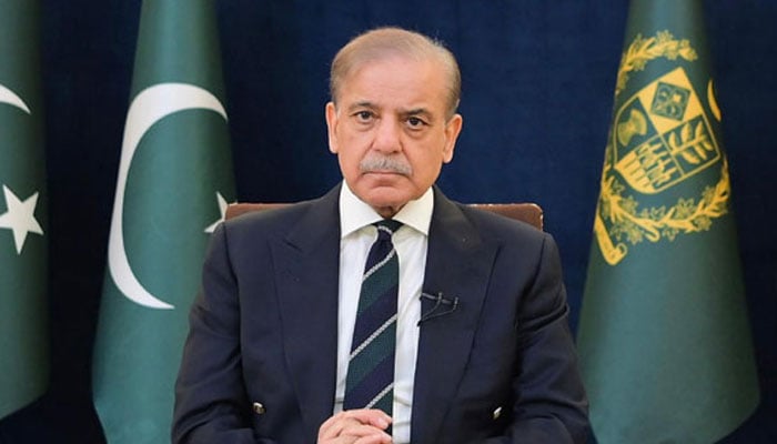 Prime Minister Shehbaz Sharif addresses the nation on May 7, 2025. — Radio Pakistan
