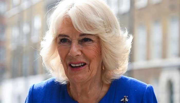 Palace releases video of Queen Camilla after VE Day service